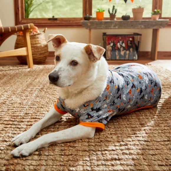 Frisco Halloween Patterned Dog & Cat Jersey PJs - Picture 6 of 10